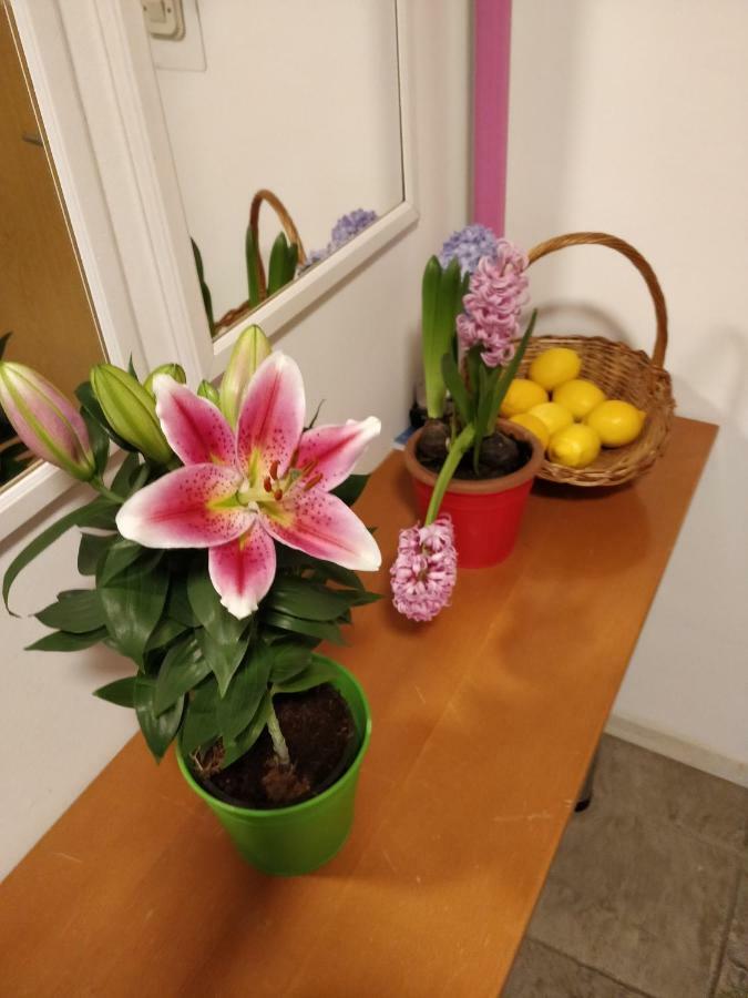 Apartment Savski Gaj